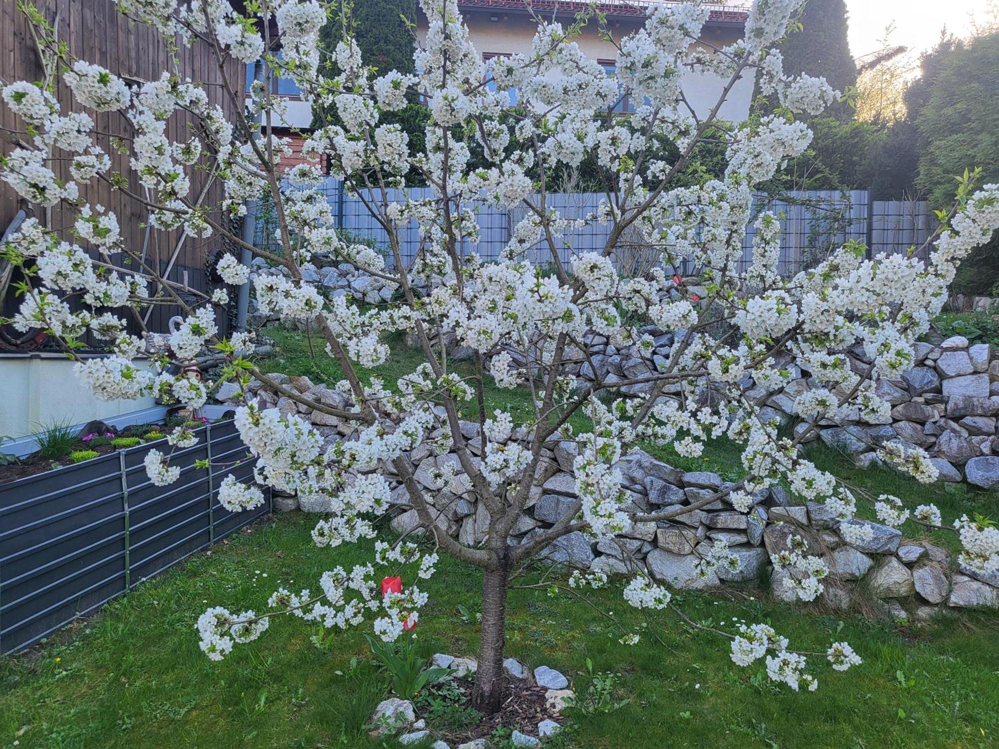 Appartement Purzel Mauerbach Bagian luar foto