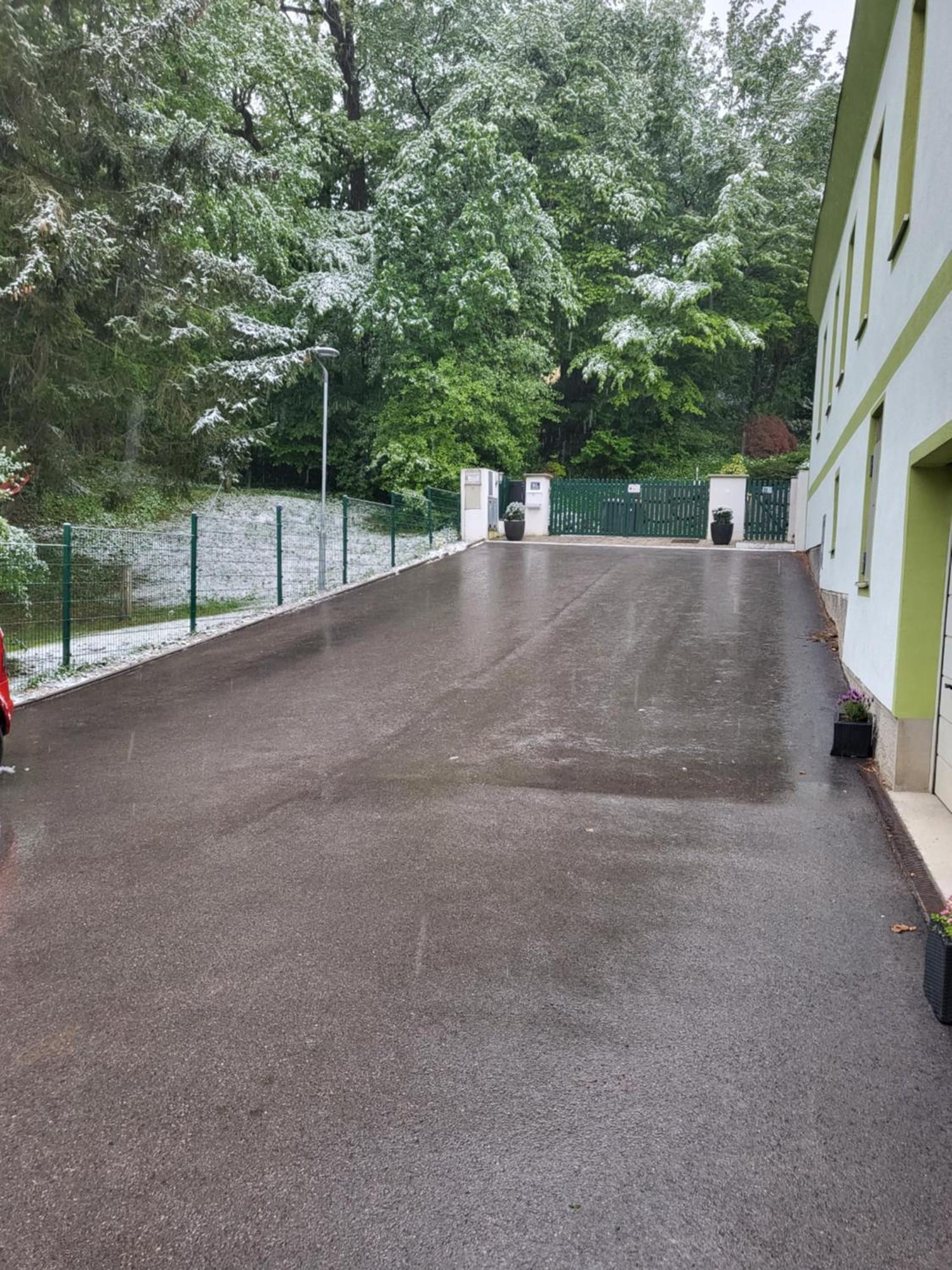 Appartement Purzel Mauerbach Bagian luar foto